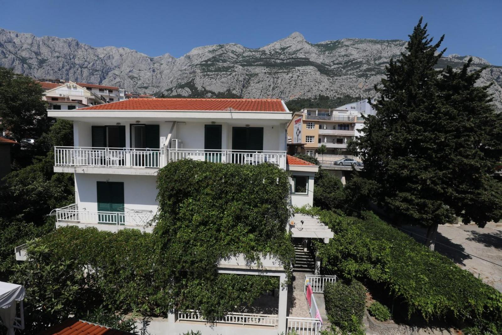Apartament 1